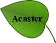 Acaster Leaf